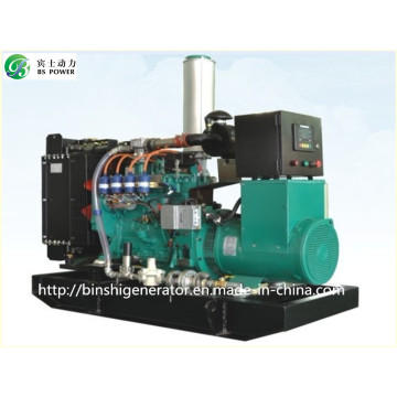 120kVA Biogas / Metane Power Generator Sets